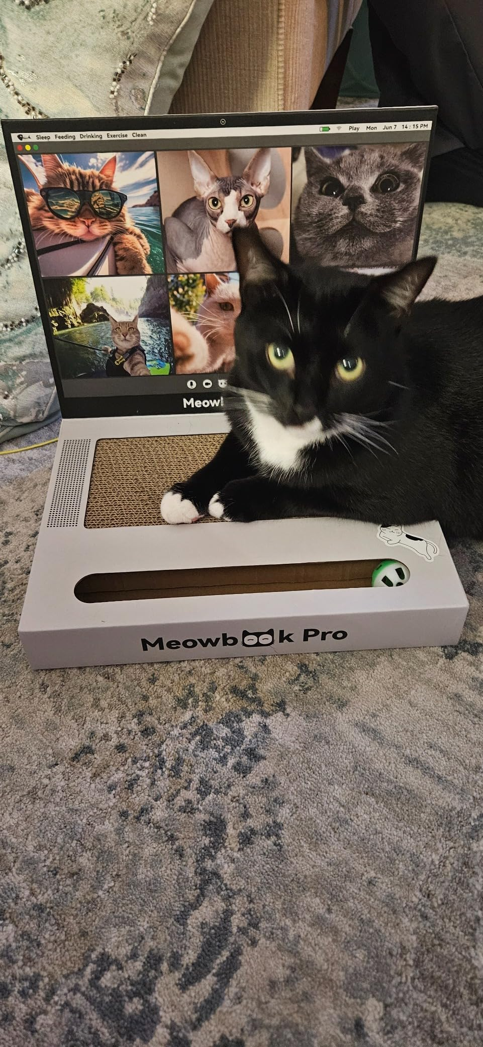 26 Products To Save Your Stuff From Playful Pets