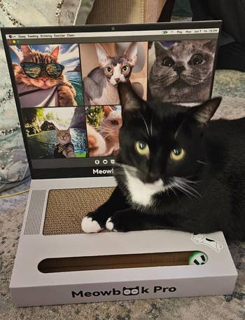 26 Products To Save Your Stuff From Playful Pets