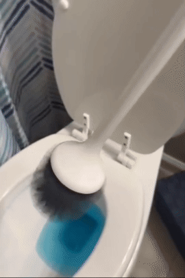 Social media trends Viral content Trending hashtags Social media updates Trending memes and videos A toilet brush with liquid cleanser swirls inside a toilet bowl, illustrating cleaning action