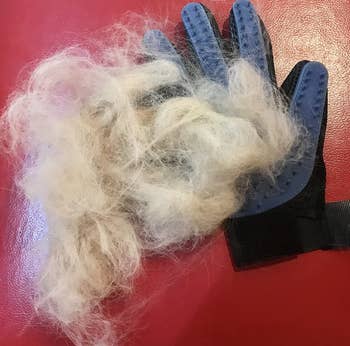 a reviewer photo of the glove covered in a pile of white hair 