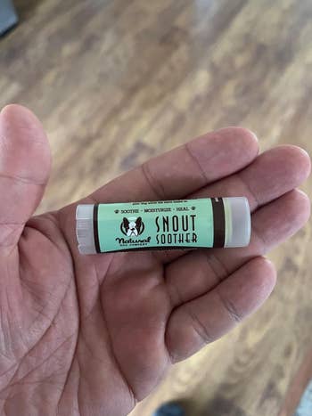 Hand holding a tube of Natural Dog Company Snout Soother for dog skincare