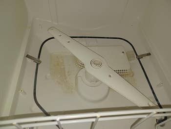 Close-up of a dishwasher's interior showing the bottommost spray limb and filter area