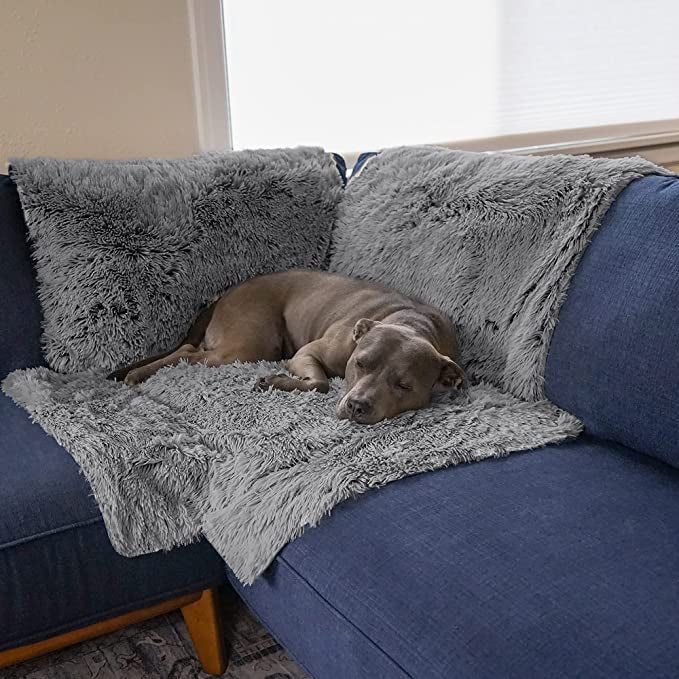 a dog sitting on the gray cover