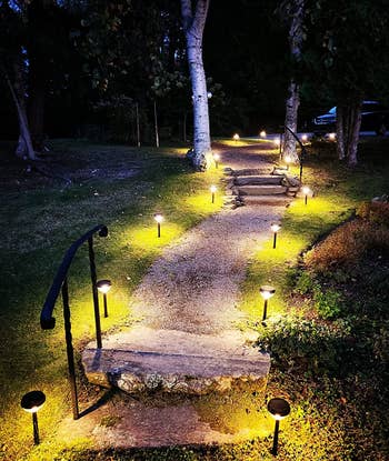 reviewer's path lit with solar-powered garden lights 