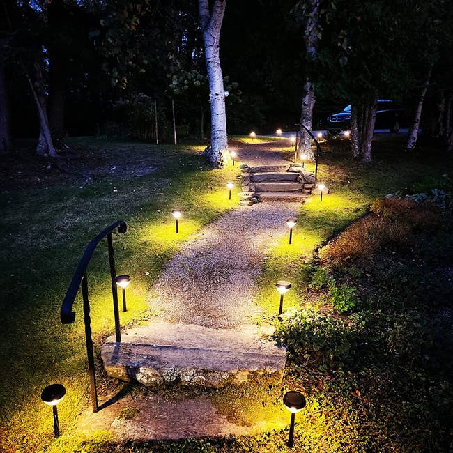 reviewer's path lit with solar-powered garden lights 
