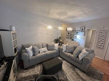 A reviewer's before image of couch 
