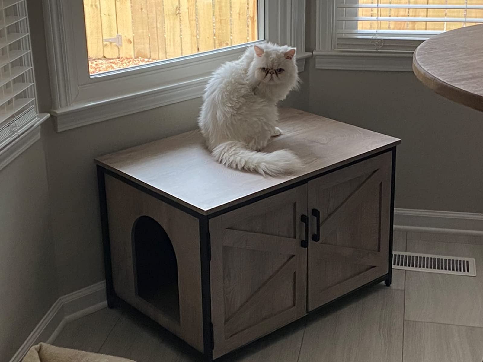 18 Best Cat Litter Box Furniture To Keep It Hidden 2022