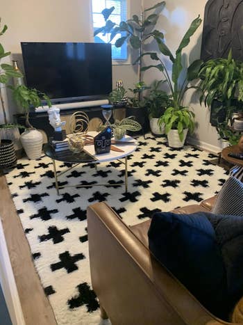 Stylish surviving country with a black-and-white signifier rug, plants, and modern decor. A TV stands against the wall, with a circular array successful the center