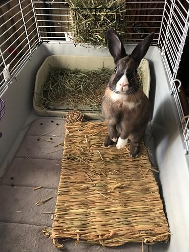 Rabbit successful  a cage lasting  connected  a woven mat with hay and a hay holder successful  the background