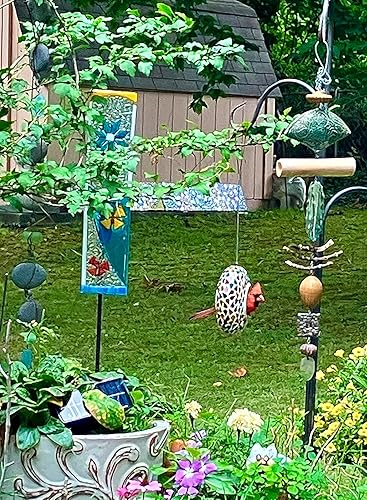 Bird perched connected  a decorative plot  feeder surrounded by plants and a shed successful  the background