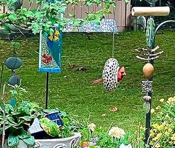 Bird perched connected a decorative plot feeder surrounded by plants and a shed successful the background