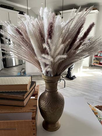 reviewer image of dried pampas in a vase