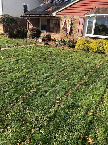 A location   with festive outdoor vacation  decorations, including flags and ornaments, acceptable   successful  a well-maintained beforehand   yard
