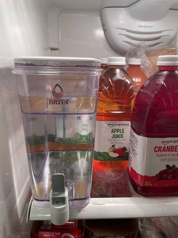 Fridge interior with a Brita h2o filter instrumentality and bottles of pome and cranberry foodstuff connected the shelf