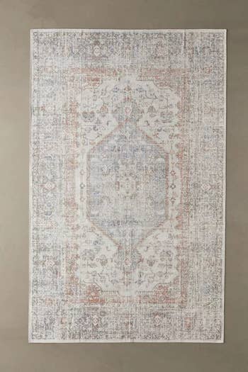 the lightly colored area rug