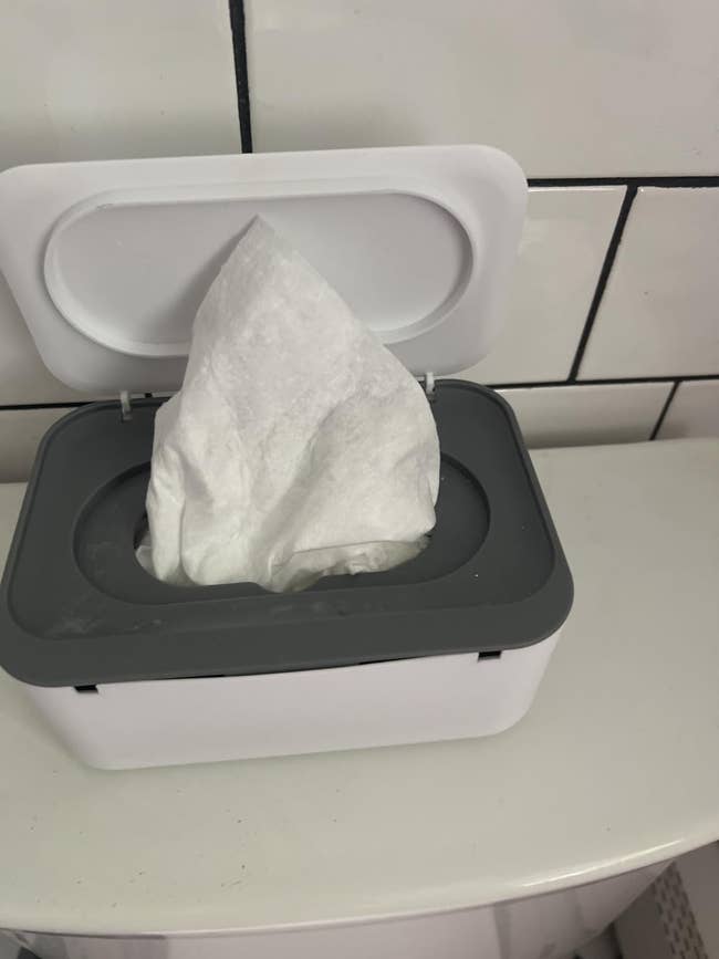 Open instrumentality with flushable wipes placed connected a bath shelf