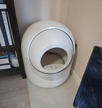 reviewer image of the self-cleaning litter box in the corner of a living space