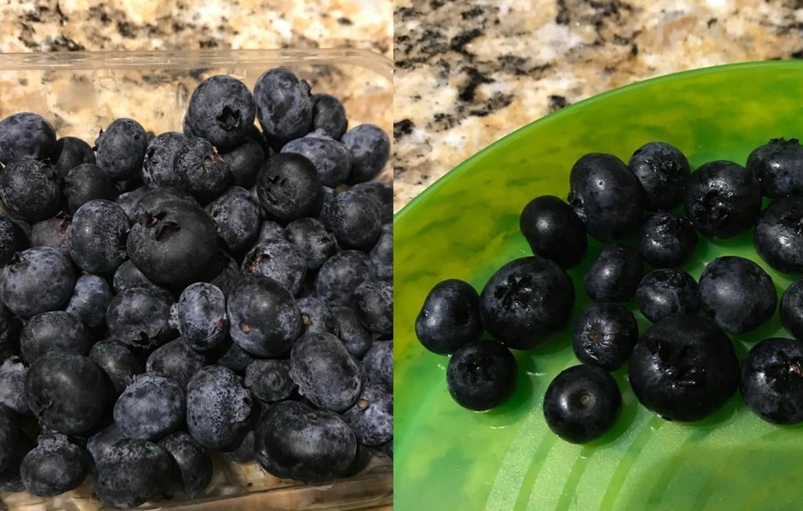 before photo of untreated blueberries that look waxy and an after photo of the blueberries looking darker after they were washed