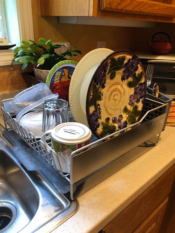 reviewer photo of full dish rack next to sink