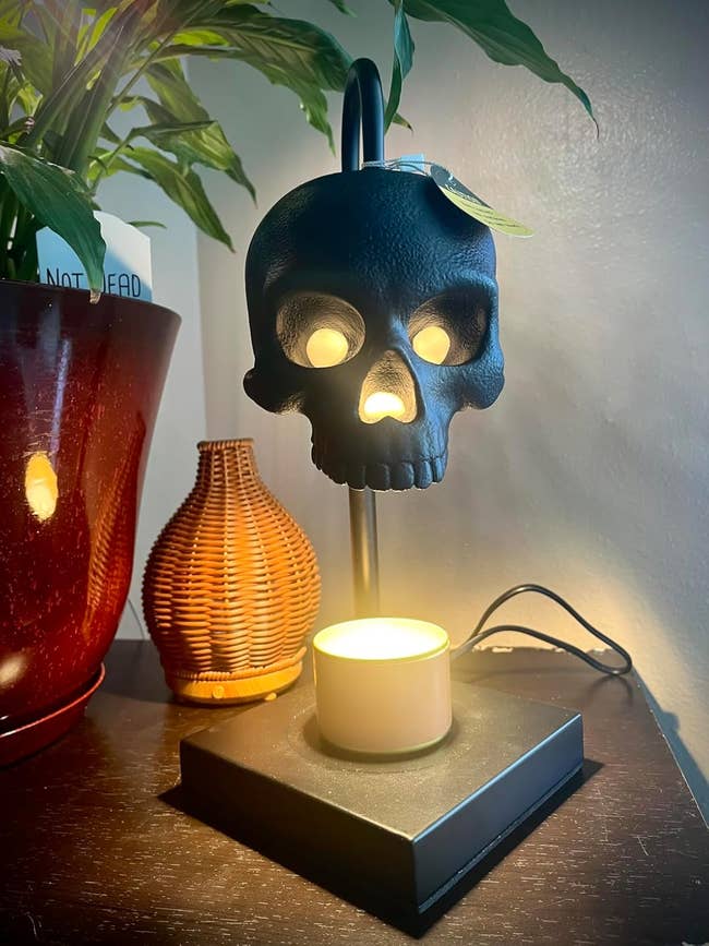 the skull candle warmer