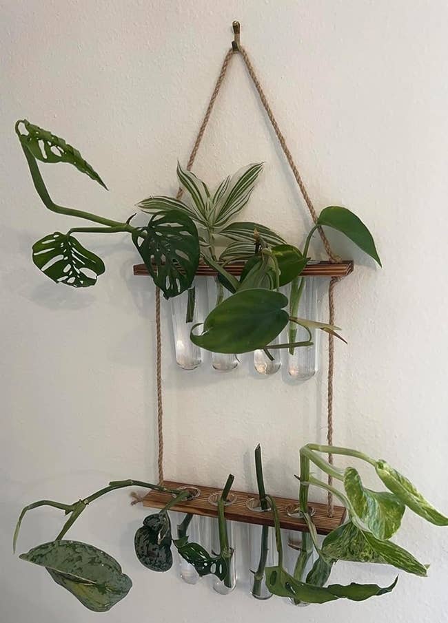Hanging wall planter with multiple potted plants, suitable for indoor greenery shopping