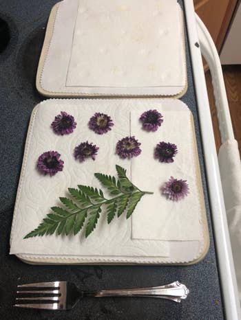 Pressed flowers and a fern leaf arranged on quilted paper towels, with a fork placed nearby