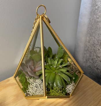 Glass terrarium with assorted succulents, available for home decor.
