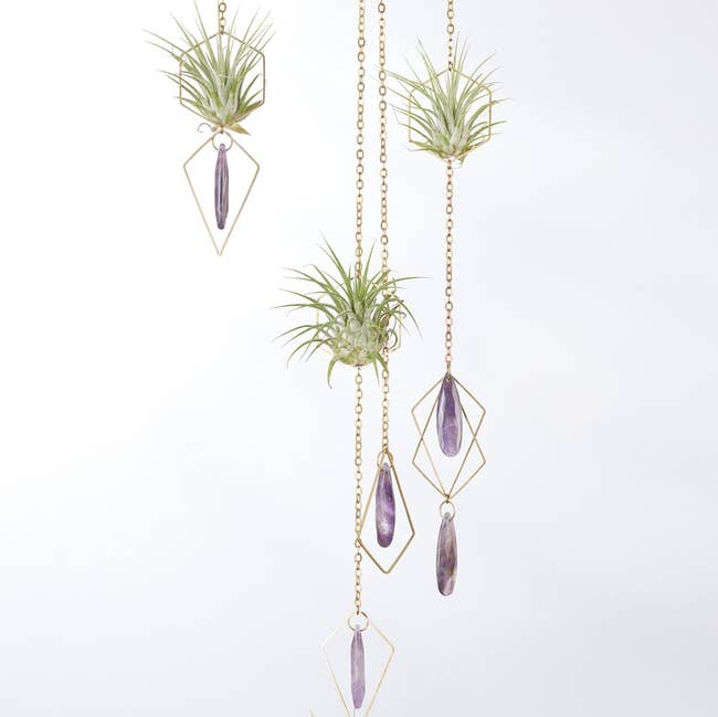 Air plants suspended in geometric metal holders with hanging purple crystals