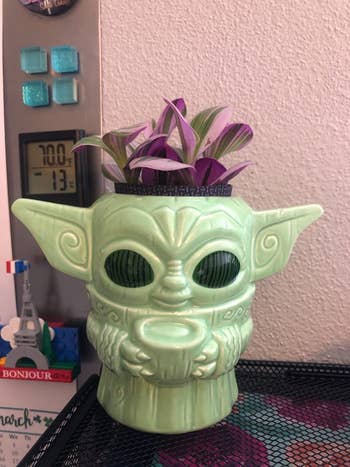 reviewer image of using the Baby Yoda mug as a planter