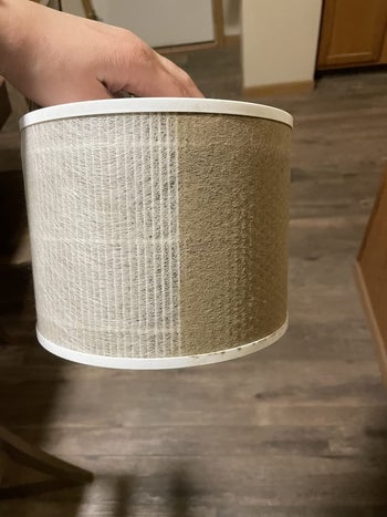 Reviewer holding used filter