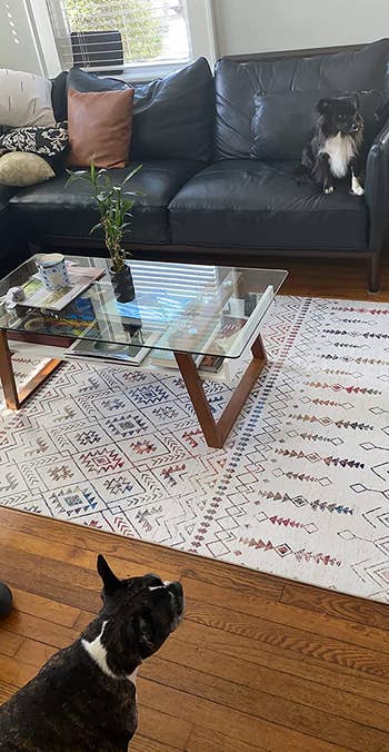a white moroccan style rug set up in a living room