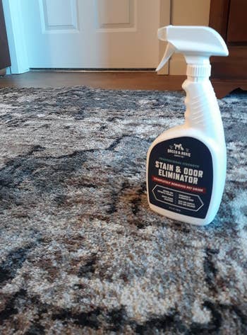 Spray bottle of Rocco & Roxie Supply Co. Stain & Odor Eliminator on a freshly clean carpeted floor