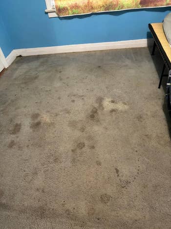 Room with a furniture  and noticeably stained carpet, suggesting a request   for cleaning oregon  replacement