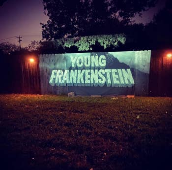 A reviewer projecting young Frankenstein on their fence 