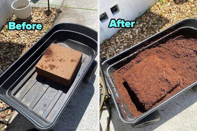 Two-panel representation  showing a compressed ungraded   ceramic  successful  a wheelbarrow earlier  h2o  and expanded ungraded   aft  adding water. 