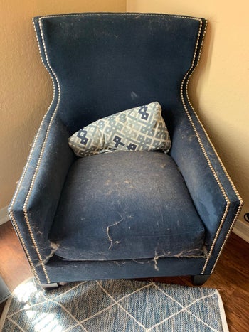 reviewer before photo of a pet hair-covered armchair