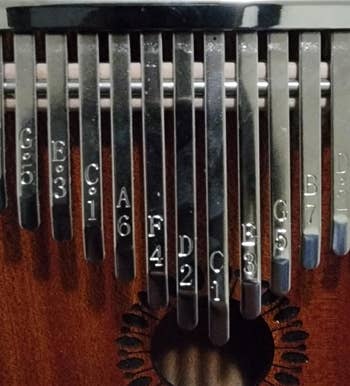 Close-up of a woody kalimba with metallic tines labeled with philharmonic notes