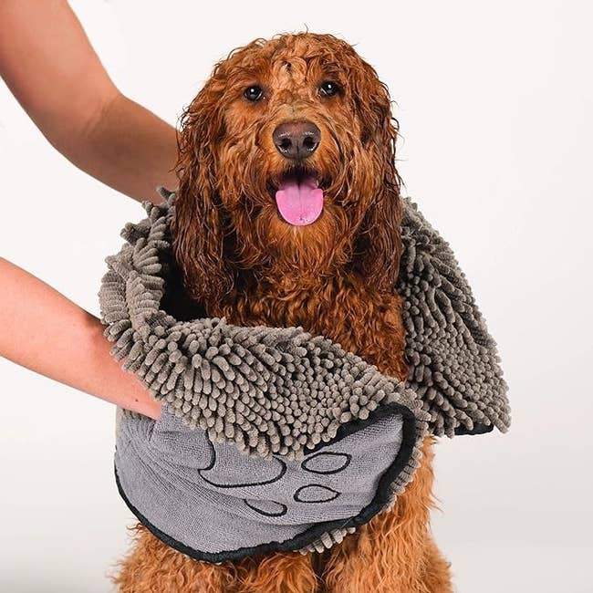 Model drying a happy dog with a gray microfiber pet towel. Ideal for pet owners