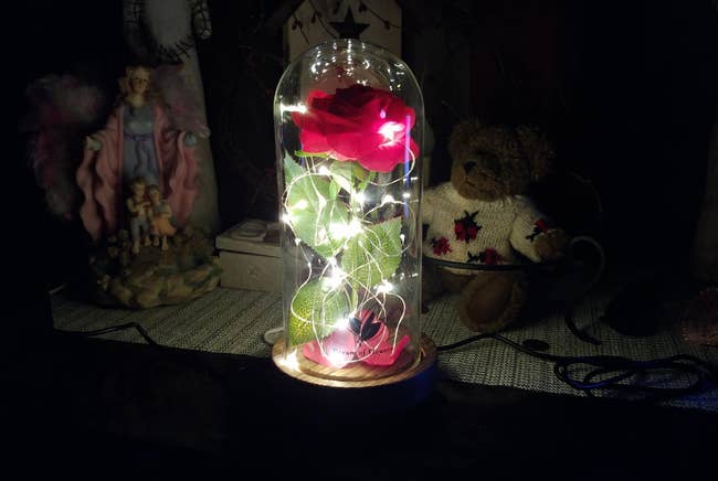 a rose in a glass case with string lights around it