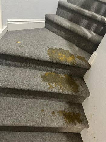 before image of a carpeted staircase with a noticeable pet accident stain