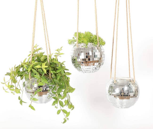 three hanging disco ball planters with twine rope and plants in them 