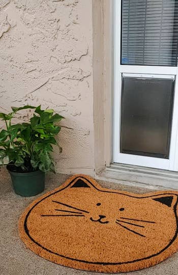the reviewer's installed cat door