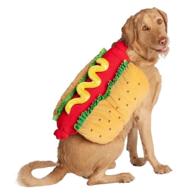 dog in hot dog costume