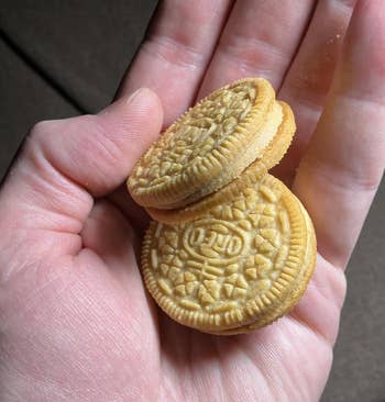 37 Things If Fall If Your Favorite Season