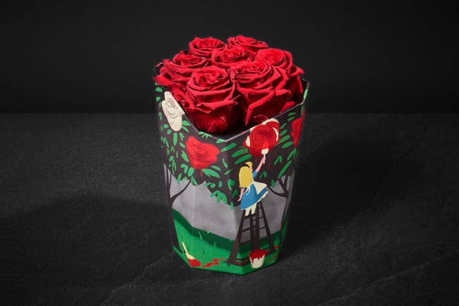 seven red roses in an alice in wonderland vase