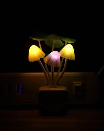the mushroom night light shining in the dark