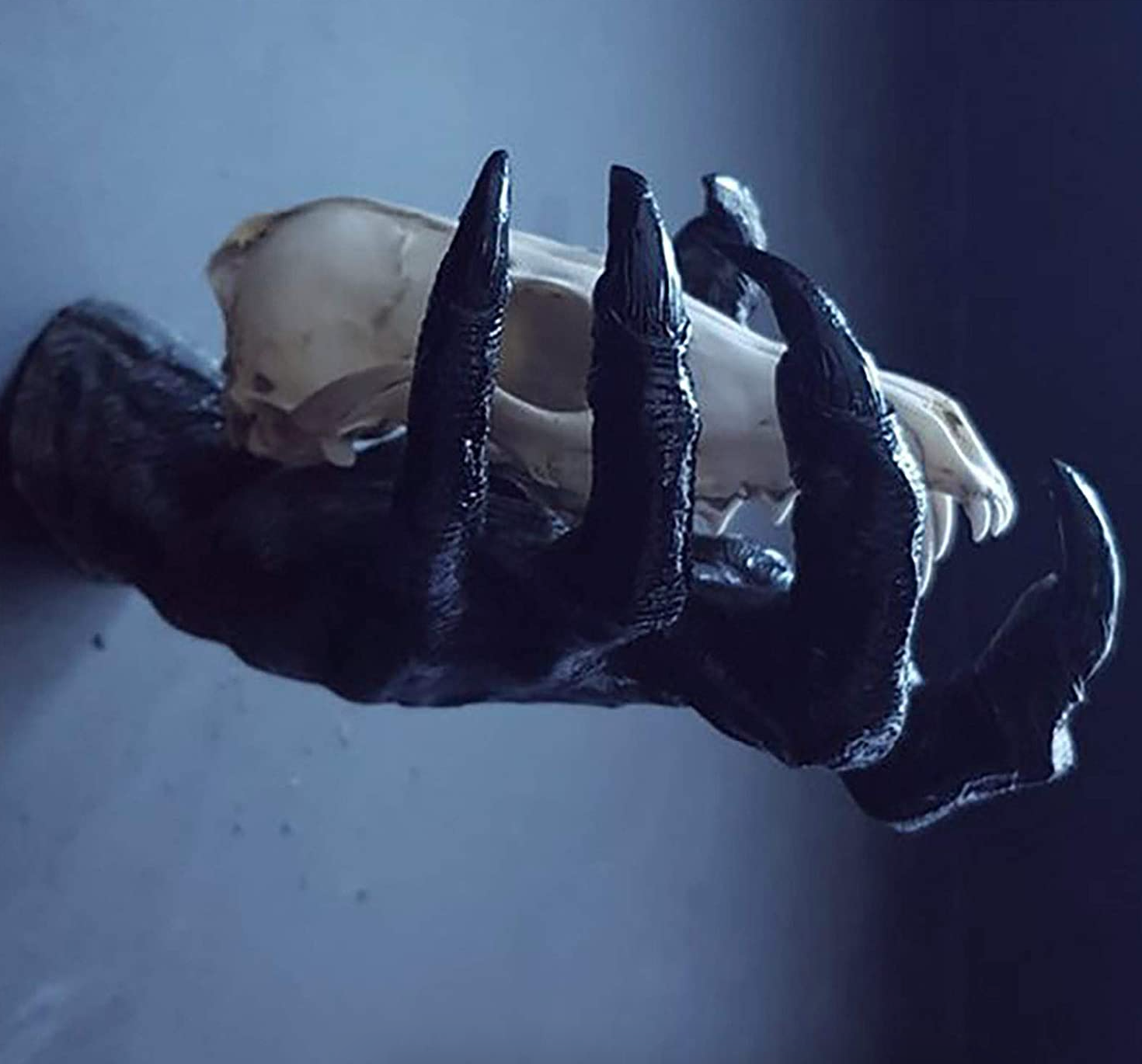 same hand from the side holding a skull