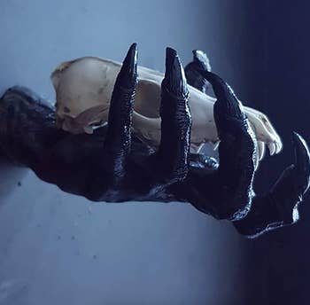 same hand from the side holding a skull 