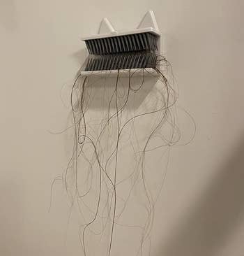 Hair strands caught in a wall-mounted comb, suggesting a hair loss issue or cleaning after grooming