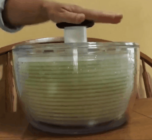 gif of reviewer drying veggies while pressing down on spinner